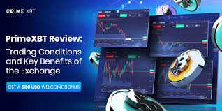 Exploring the Benefits and Strategies of Copy Trading on PrimeXBT Exploring the Benefits and Strategies of Copy Trading on PrimeXBT